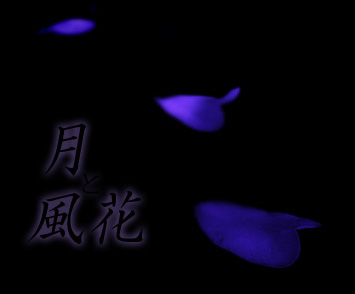 月と風花